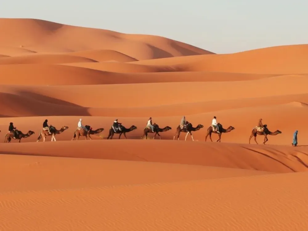 Morning desert safari in Dubai with a camel ride across the dunes